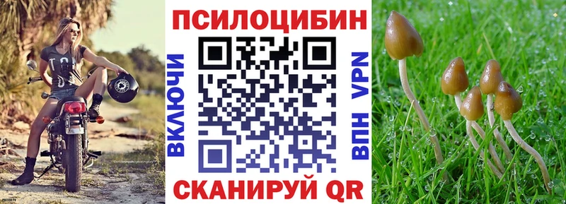 Галлюциногенные грибы MAGIC MUSHROOMS  где купить   Сатка 